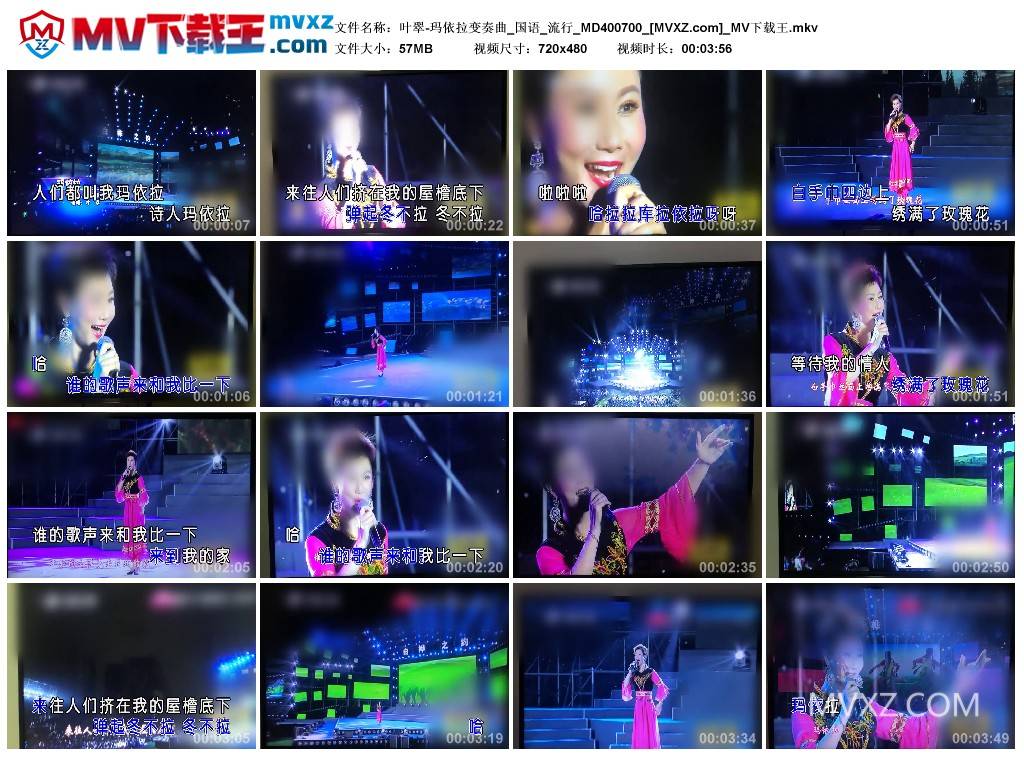 叶翠-玛依拉变奏曲_国语_流行_MD400700